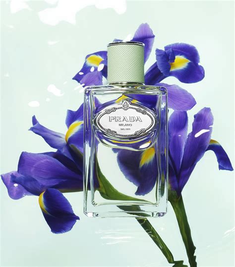 iris prada equivalenza|Infusion d'Iris L'Eau d'Iris Prada for women.